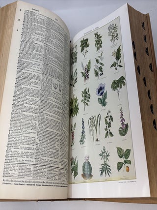 WEBSTER'S NEW INTERNATIONAL DICTIONARY OF THE ENGLISH LANGUAGE. SECOND EDITION UNABRIDGED; UTILIZING ALL THE EXPERIENCE AND RESOURCES OF MORE THAN ONE HUNDRED YEARS OF MERRIAM-WEBSTER DICTIONARIES