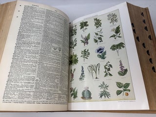 WEBSTER'S NEW INTERNATIONAL DICTIONARY OF THE ENGLISH LANGUAGE. SECOND EDITION UNABRIDGED; UTILIZING ALL THE EXPERIENCE AND RESOURCES OF MORE THAN ONE HUNDRED YEARS OF MERRIAM-WEBSTER DICTIONARIES