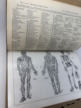 WEBSTER'S NEW INTERNATIONAL DICTIONARY OF THE ENGLISH LANGUAGE. SECOND EDITION UNABRIDGED; UTILIZING ALL THE EXPERIENCE AND RESOURCES OF MORE THAN ONE HUNDRED YEARS OF MERRIAM-WEBSTER DICTIONARIES
