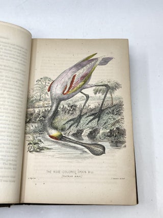 BRAZIL AND THE BRAZILIANS, PORTRAYED IN HISTORICAL AND DESCRIPTIVE SKETCHES