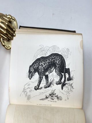 BRAZIL AND THE BRAZILIANS, PORTRAYED IN HISTORICAL AND DESCRIPTIVE SKETCHES