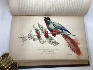 BRAZIL AND THE BRAZILIANS, PORTRAYED IN HISTORICAL AND DESCRIPTIVE SKETCHES