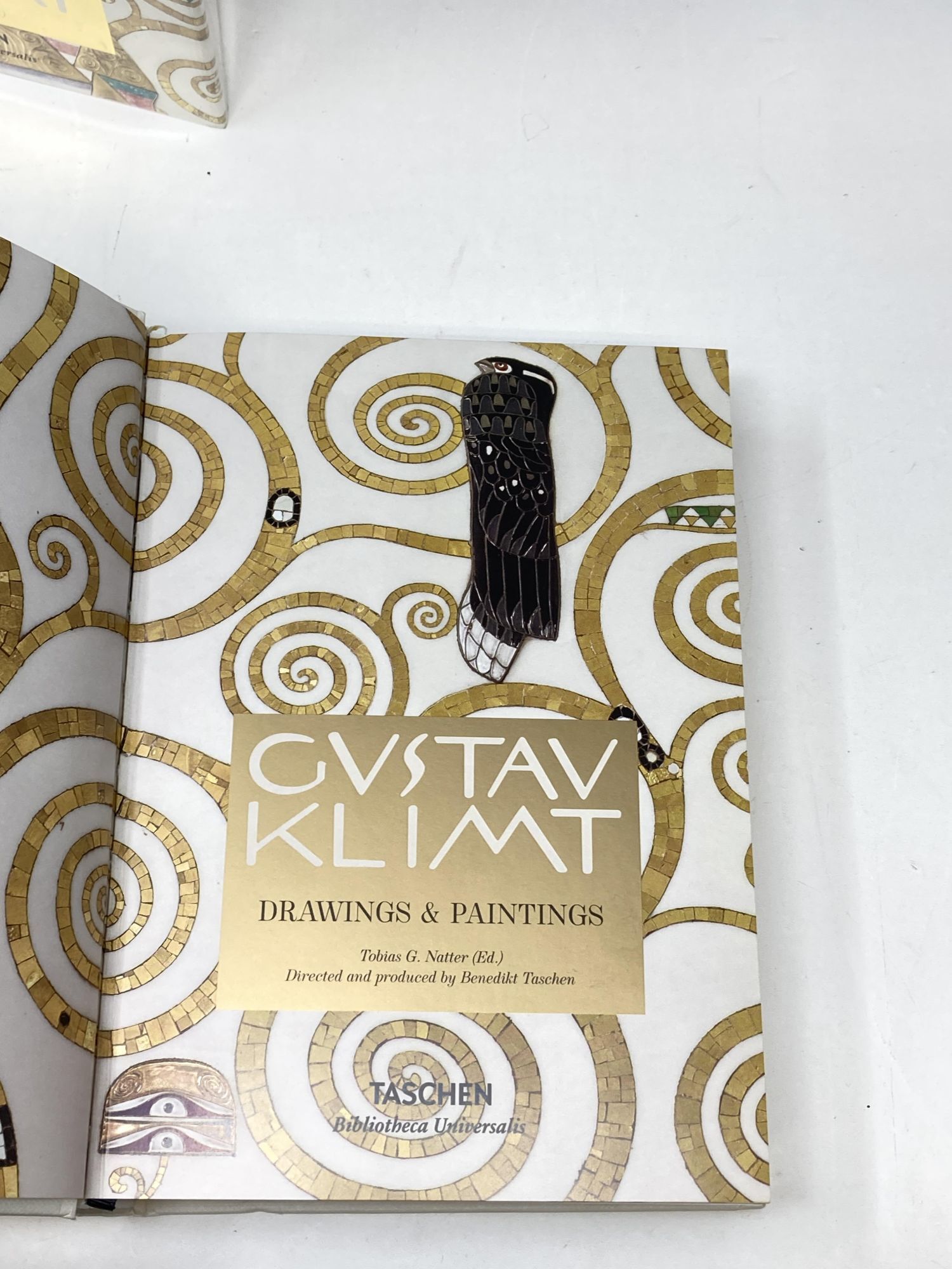 GUSTAV KLIMT: DRAWINGS AND PAINTINGS | Tobias G. Natter