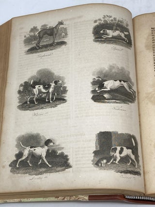 A HISTORY OF THE EARTH AND ANIMATED NATURE (IN ONE VOLUME); To Which Are Added, The LIfe of the Author, His Deserted Village, Traveller, Miscellanies, &c. &c.