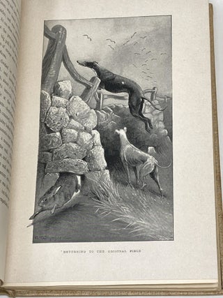 THE HARE (FUR AND FEATHER SERIES)