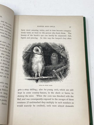 THE GAMEKEEPER AT HOME : SKETCHES OF NATURAL HISTORY AND RURAL LIFE ; With Illustrations by Charles Whymper