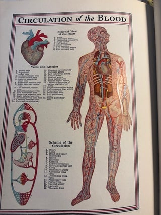 WORLD BOOK ENCYCLOPEDIA SALESMAN'S SAMPLE BOOK